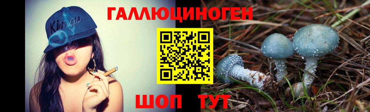 Павлово  Галлюциногенные грибы GOLDEN TEACHER  Вход с VPN 